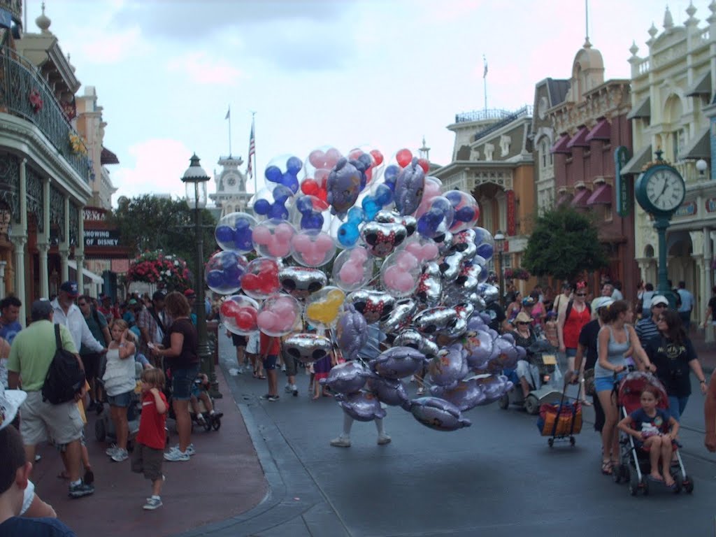 Disneyworld Magic Kingdom by Fernando Aranda Frag…