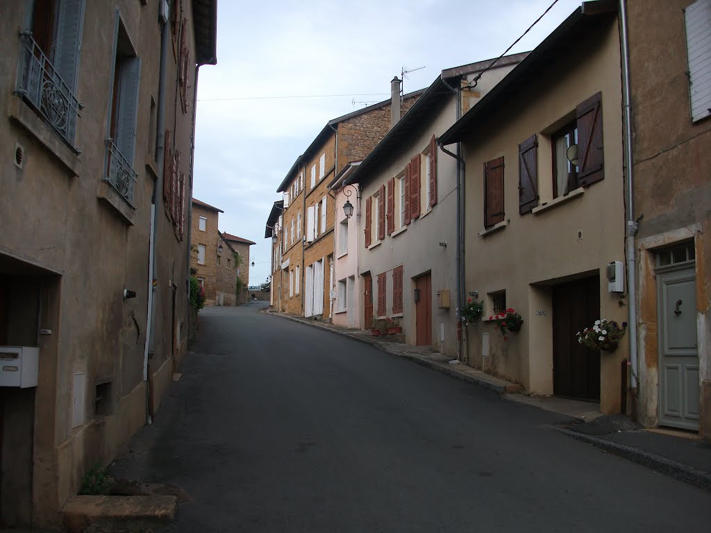 Route du bois d"oingt à legny by Salomon Barzilai