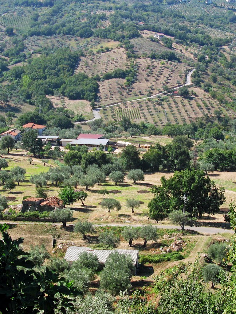 84050 Giungano, Province of Salerno, Italy by ludmila alpern