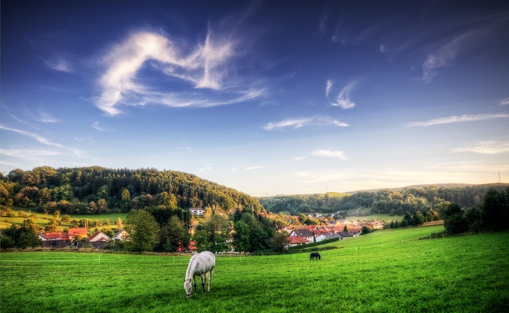 Rissenthal by wollefoto