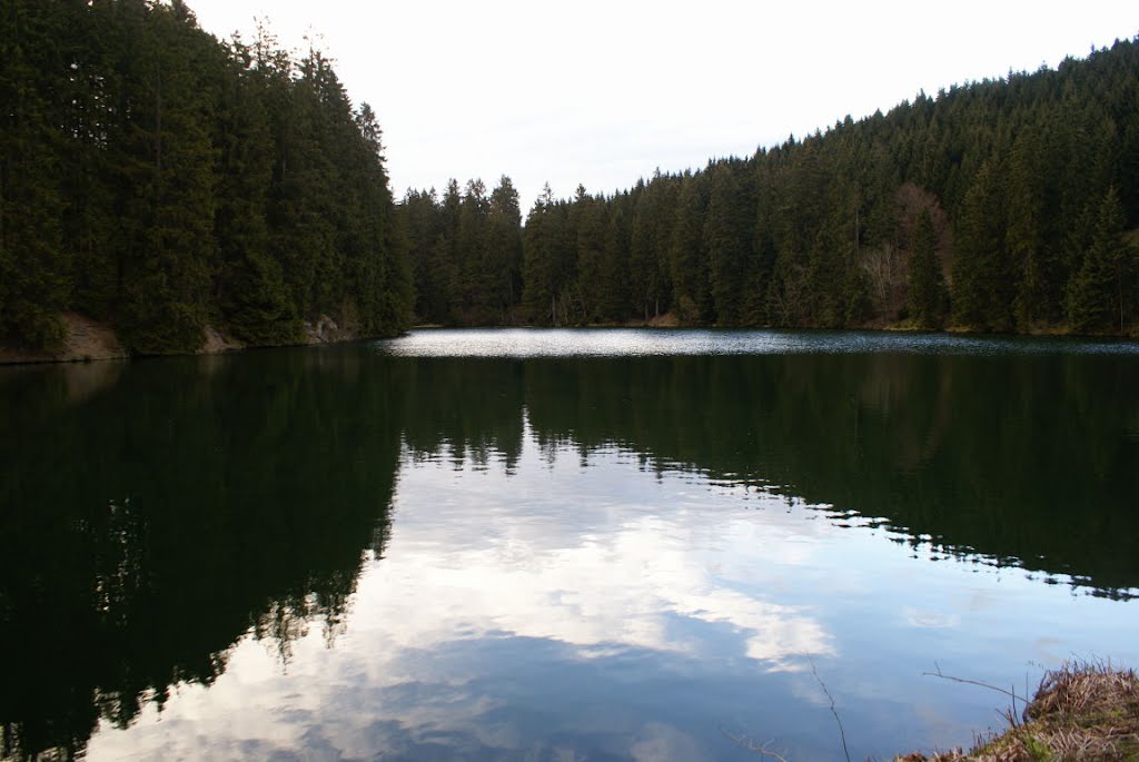 Unterer Schalker Teich (Harz) by Altmeister