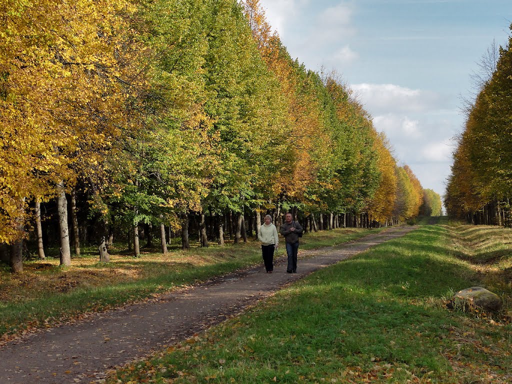 Pavlovsk, Saint Petersburg, Russia by Irixa