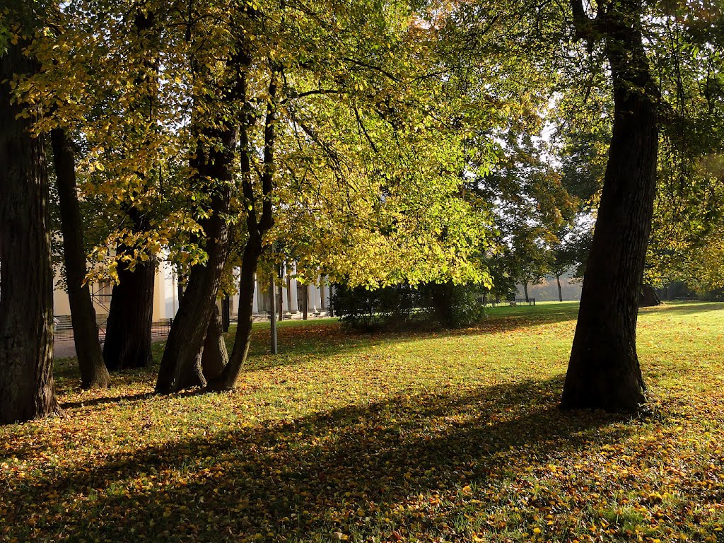 Pavlovsk, Saint Petersburg, Russia by Irixa