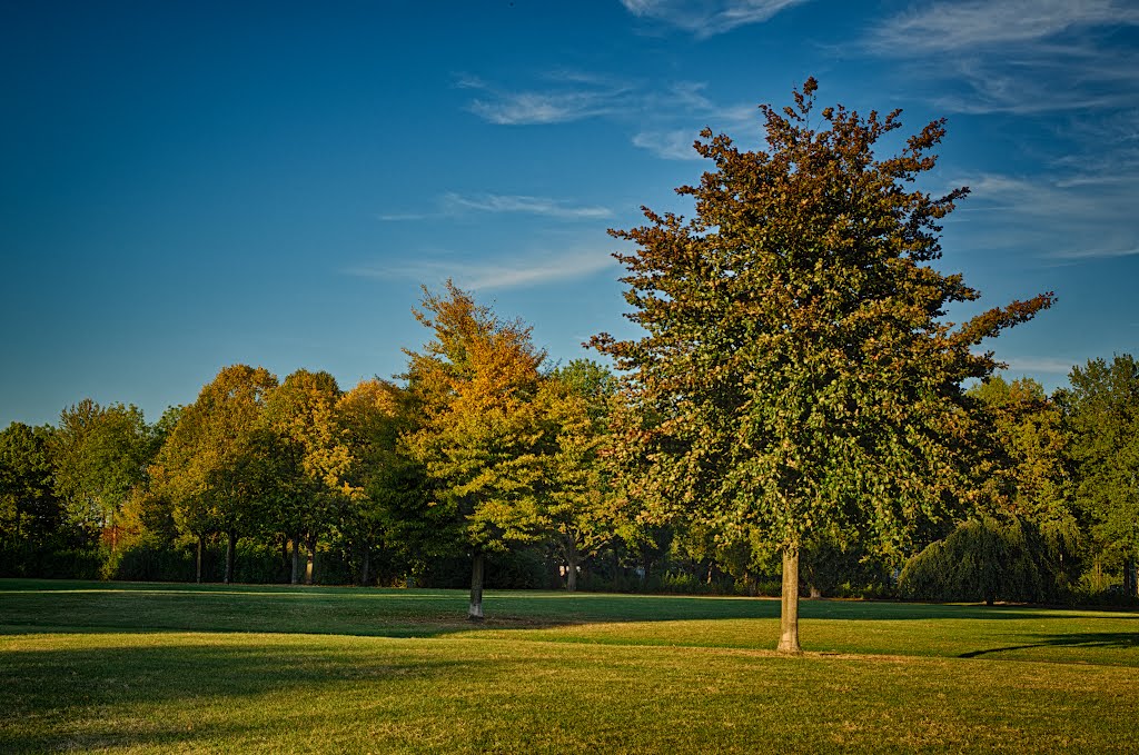 Bonn Beuel, Rheinufer by M. Pytka