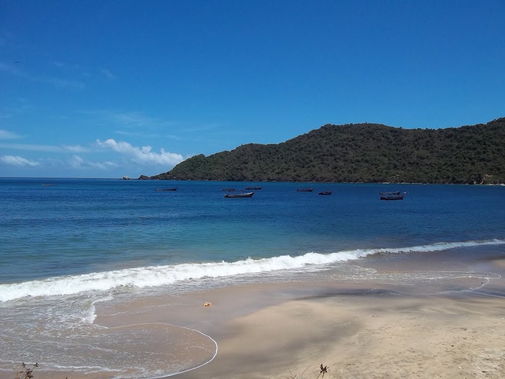 Puerto Frances , Higuerote by Heruan Escalona