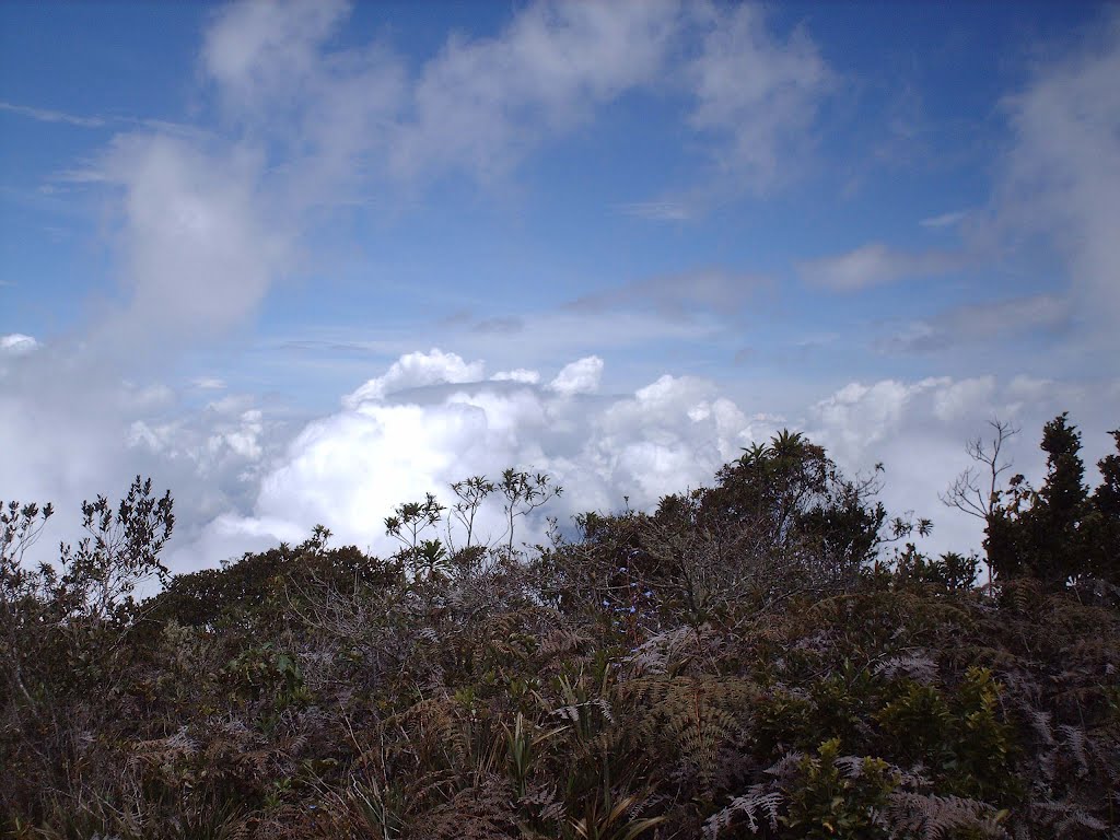 Vista desde Topo Goering by Arnaldo Noguera