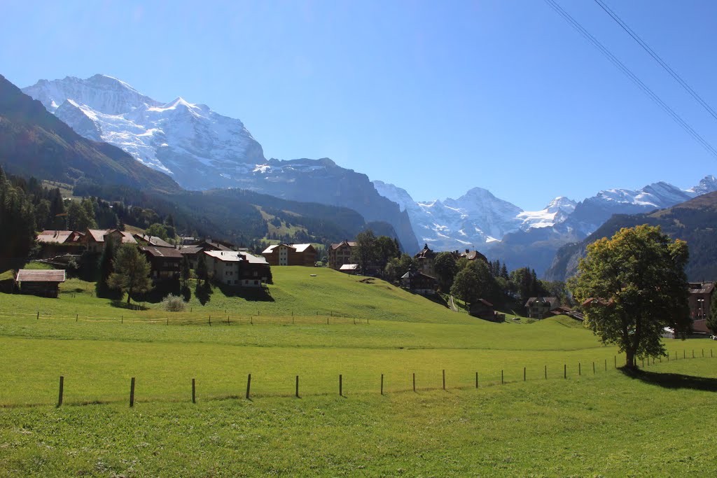 Wiesen in Wengen by Klaus Kolitsch