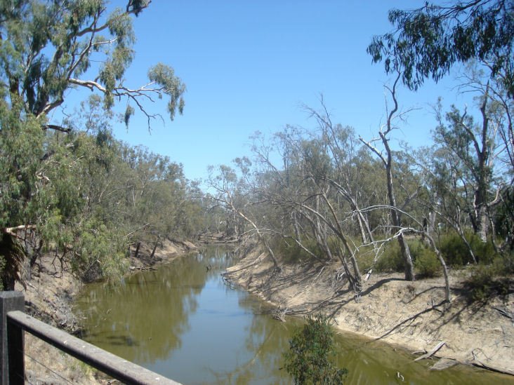 Campaspe River Tributary by Lobster1