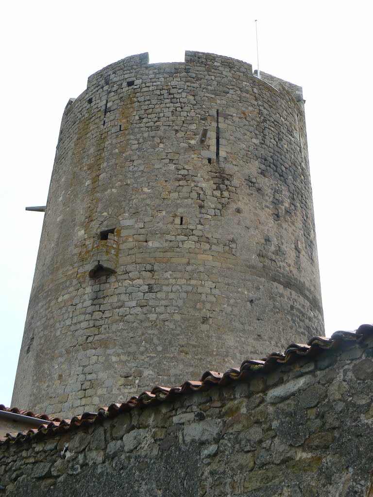 Montpeyroux ( Puy de Dome ) - Donjon avec latrine by Kessel Luc