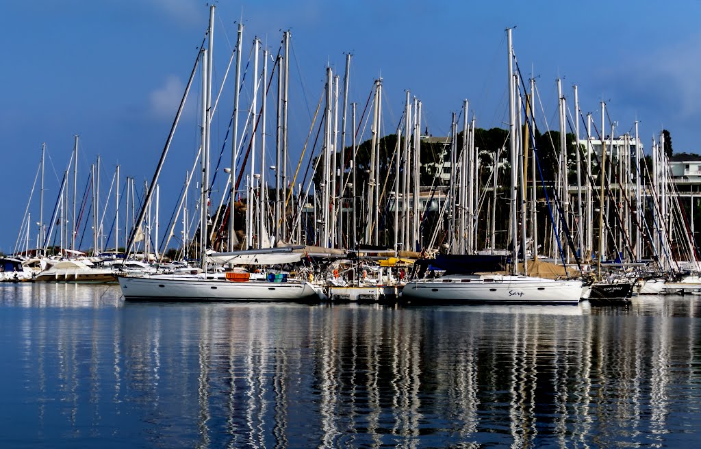 Sea of Masts by Dean Matthews