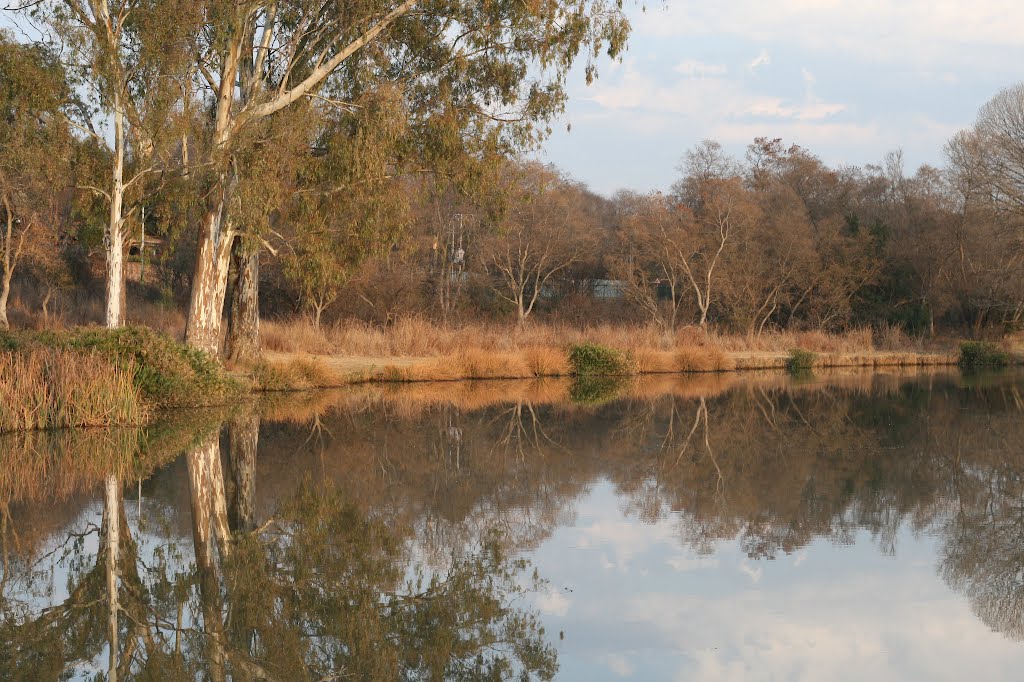 Reflections at the water's edge by tonymcgregor