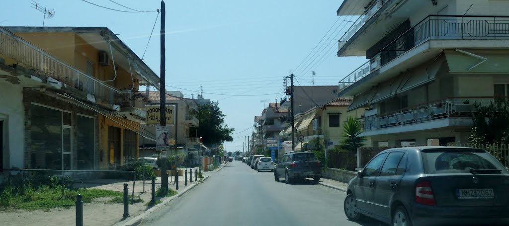 Tengerhez vezető út (Halkidiki) by Dr. Pinczés Sándor