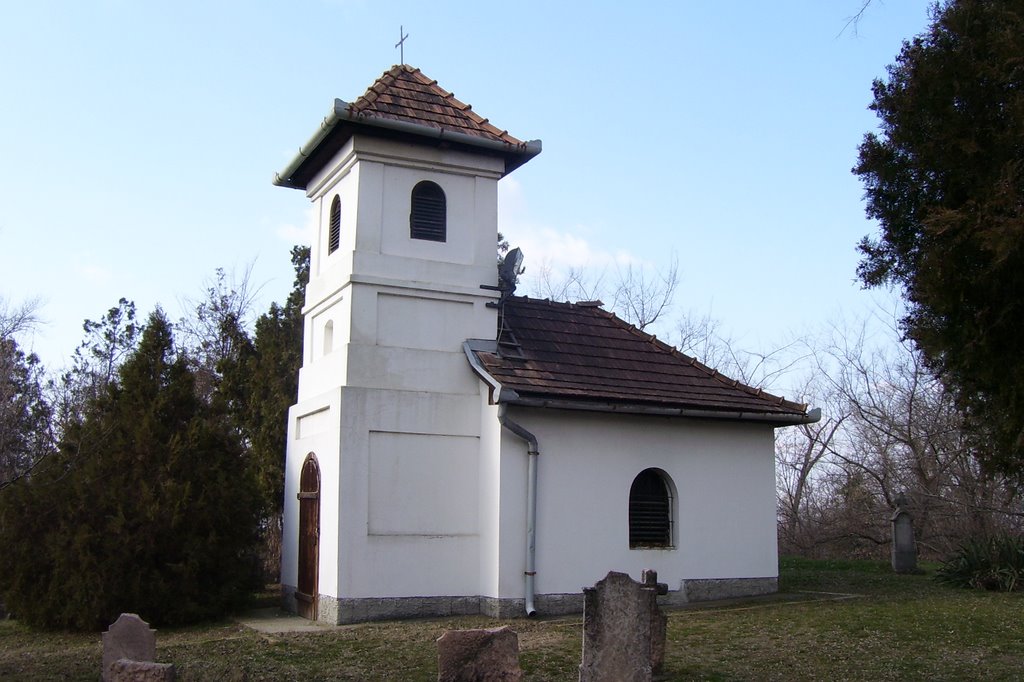 Dunakeszi, Hungary by Gáspár Norbert Pál