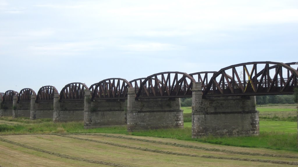 Ruins of Dömitzer Eisenbahnbrücke over the Elbe, destroyed on april 20, 1945. Niedersachsen , Germany. by Maarten Sepp