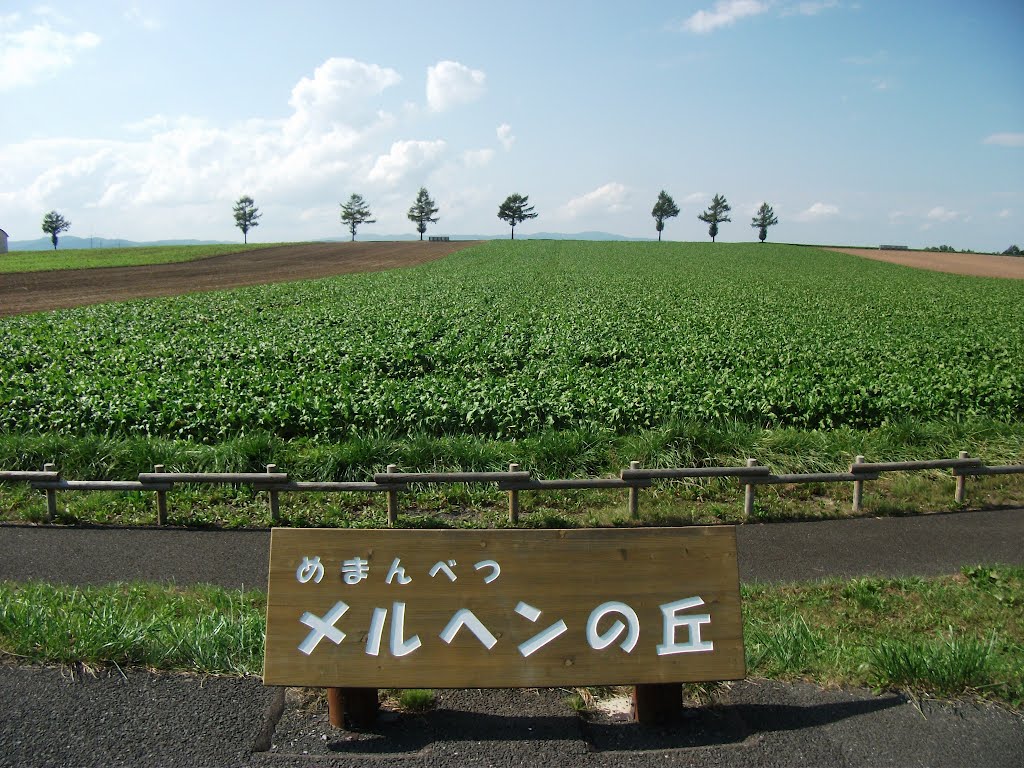 めまんべつメルヘンの丘 by Natsuki Hayashi