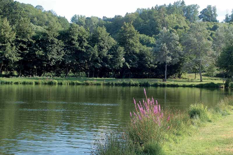 Etang de la Pouge à Saint-Auvent by cdt87