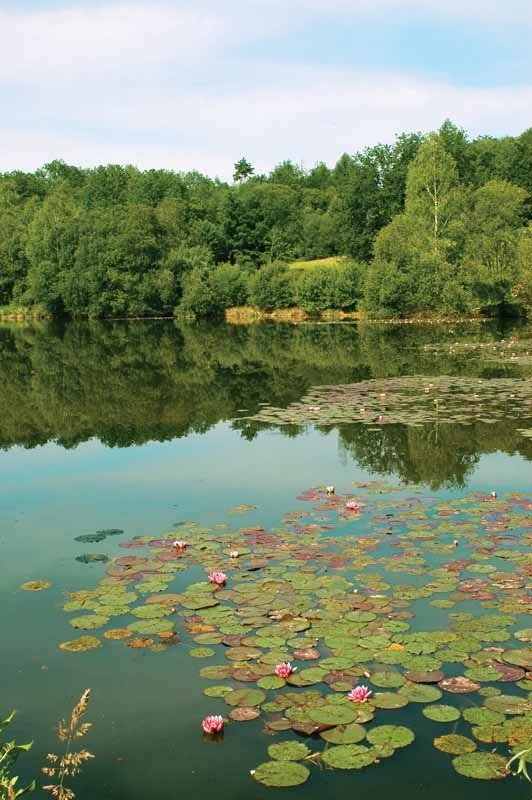 Pays de l'arbre et de l'eau en Haute-Vienne by cdt87