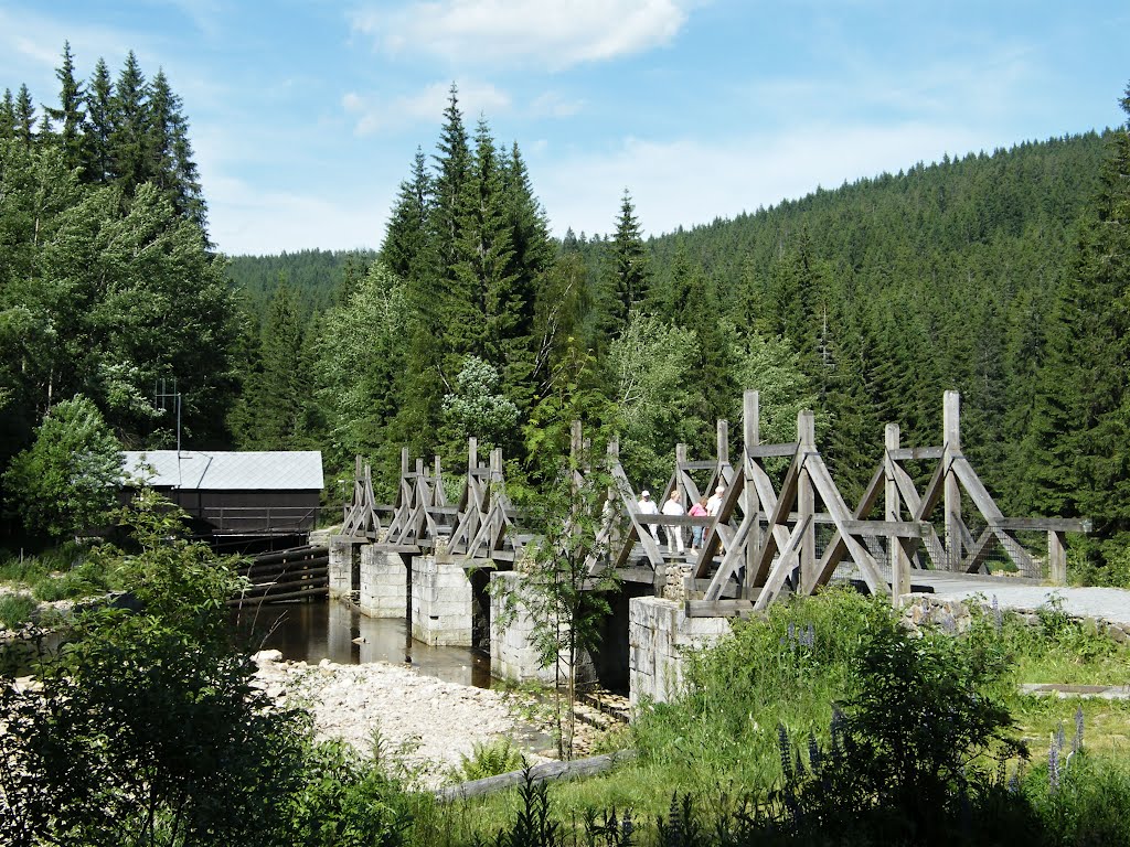 The Needle Bridge in Vchynicko-Tetovský Logging Canal by Jaroslav Presl