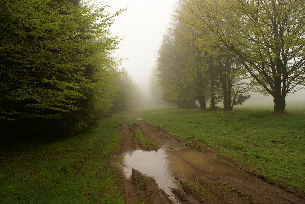 Alte Poststraße in den Wolken (Harz) by Altmeister