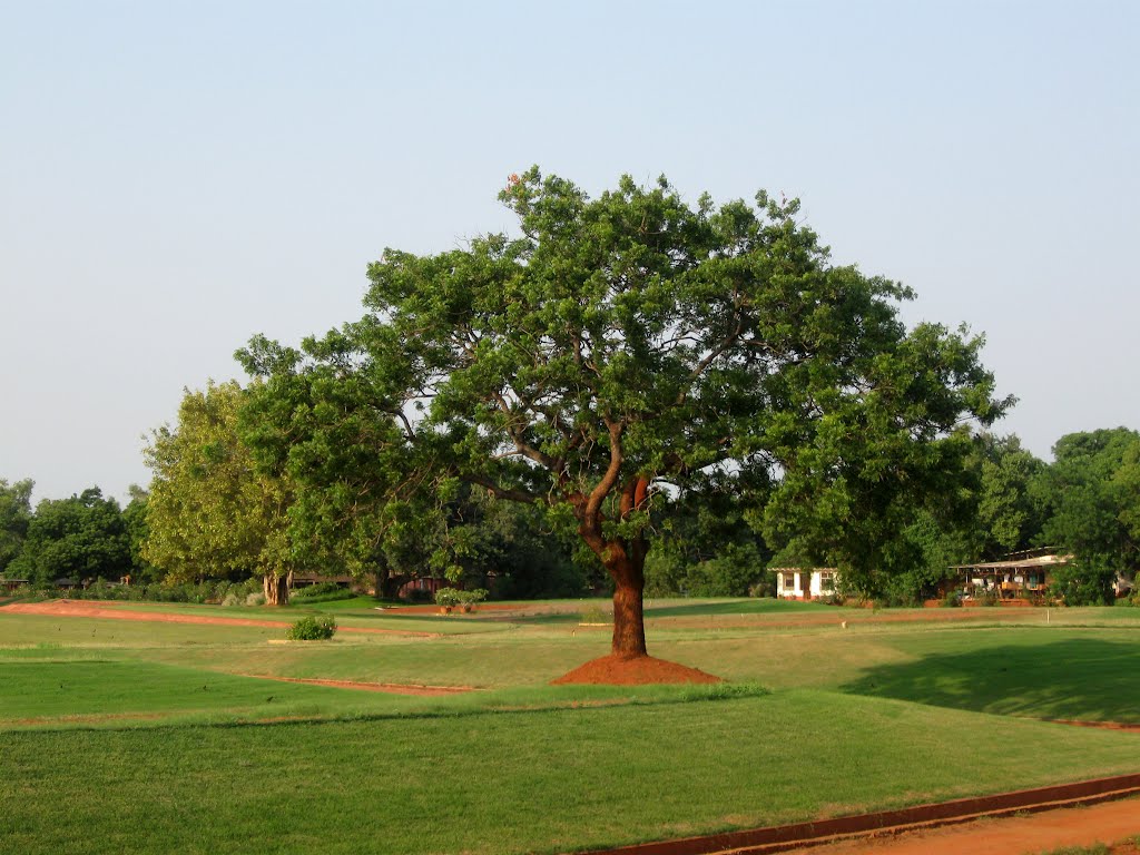 Matrimandir auroville, pondicherry by mohammad suhaib