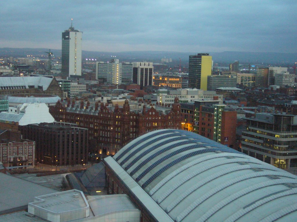 Beetham Tower View Jan 08 by Mark Edwardson