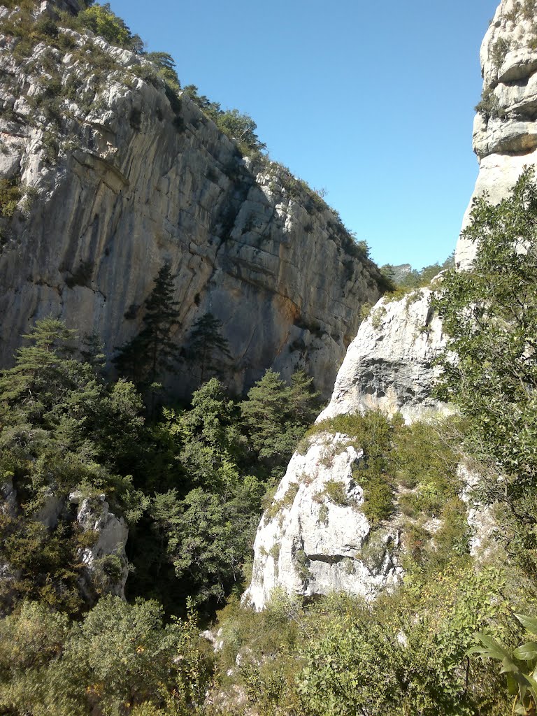 Gorges du Verdon, France by Bram van Gelder