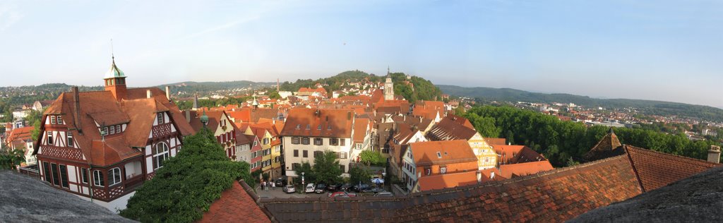 Tübingen: Altstadt und Österberg by mellifikation