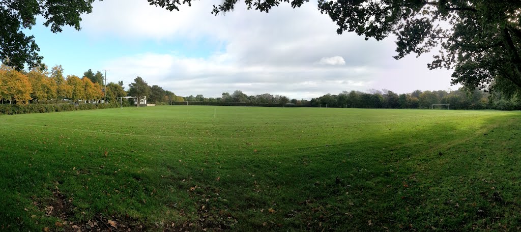 Playing fields by stepleen