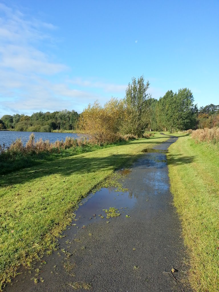 Black path between lakes by stepleen