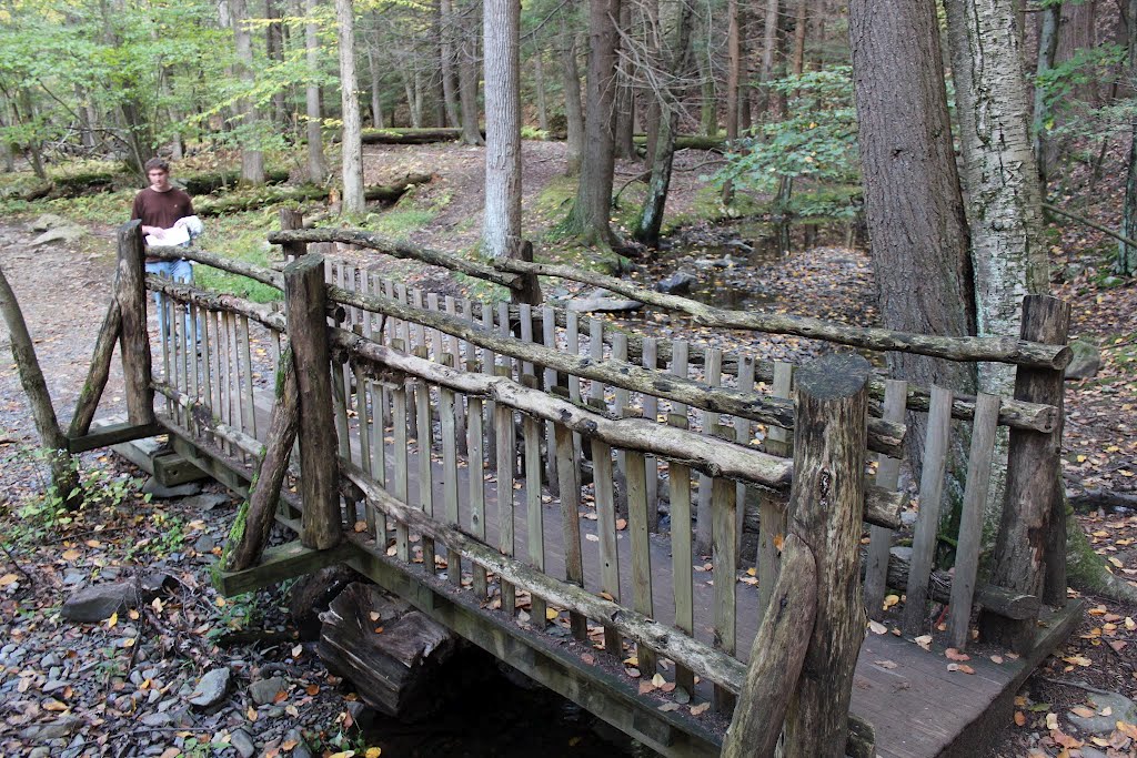 Bushkill Falls, PA by Andy Romanofsky