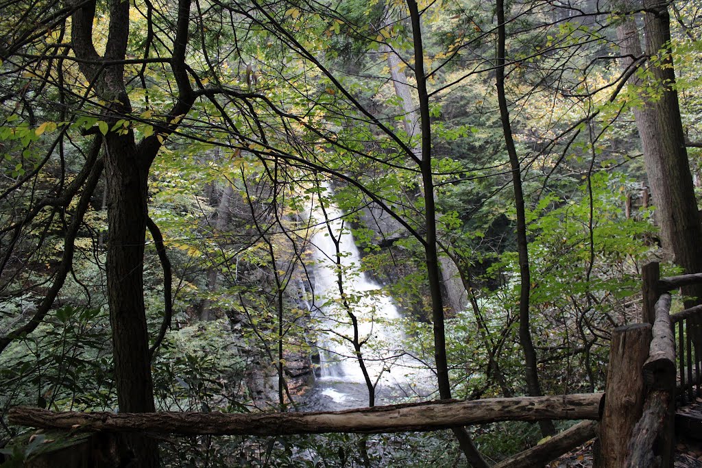 Bushkill Falls, PA by Andy Romanofsky