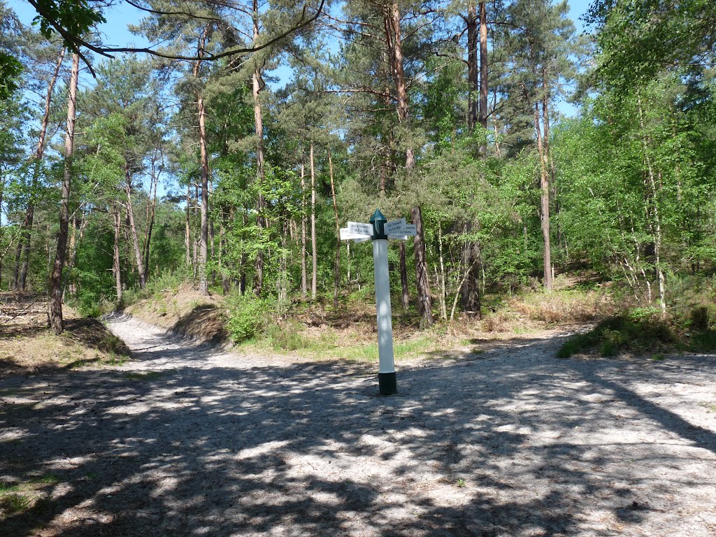 Poteau et sol sableux en forêt d'Ermenonville - OISE 60 - Picardie - France by Senlis