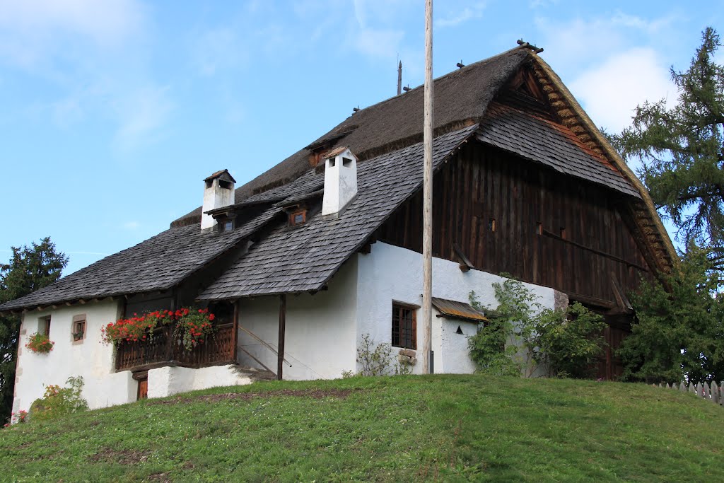 Bienenmuseum Wolfsgruben by Gerhard Tinhof