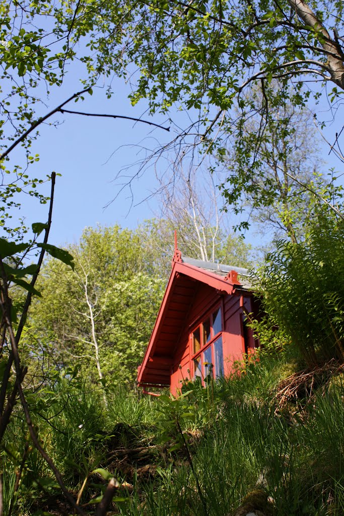 Cute looking cabin in sunny may by Mona Lygre