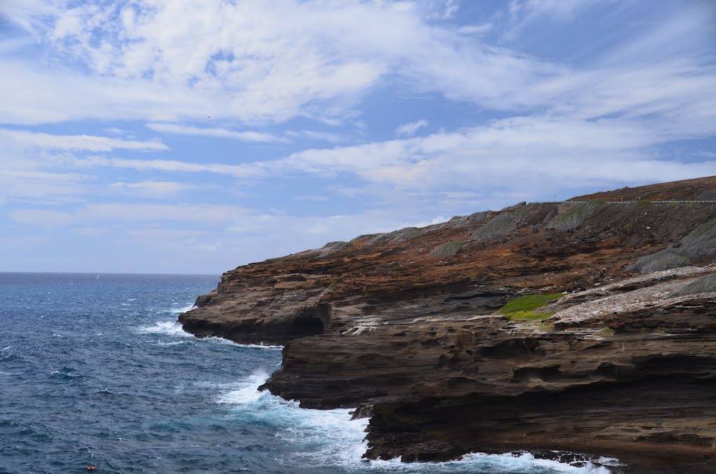 Coast at Koko Head by Thomas Tunsch