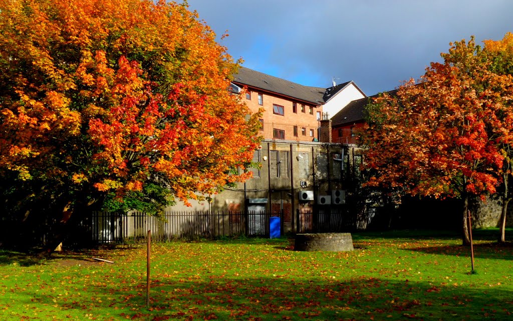 Gallow Green "Autumn Trees" Paisley west end by David Cameron Paisle…