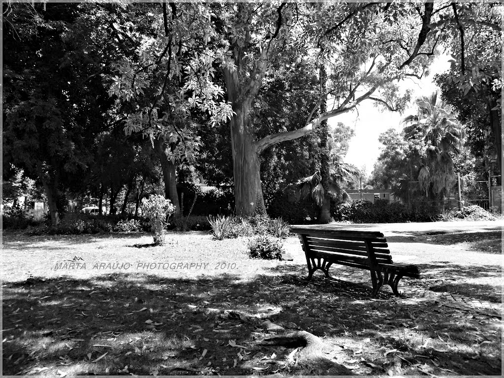 Banco de Jardim/Park Bench. by Marta Araújo