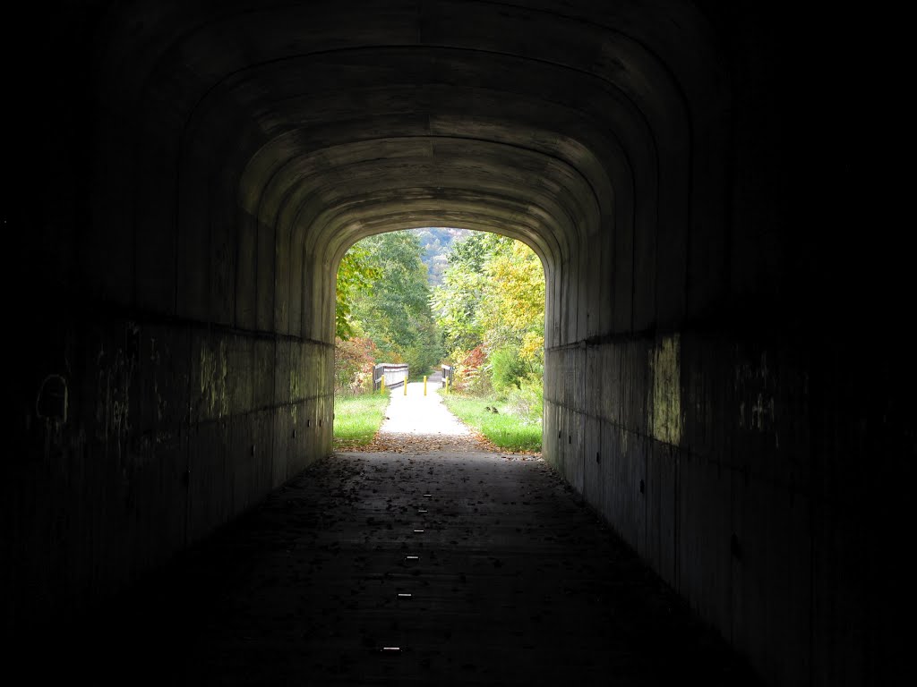 Mays Mill Tunnel by Chris Sanfino