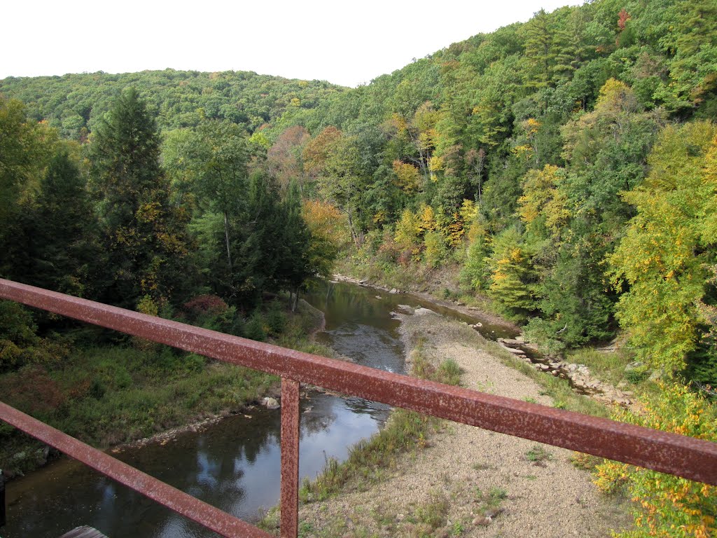 Sandy Creek Downstream from RR Trestle 3 by Chris Sanfino