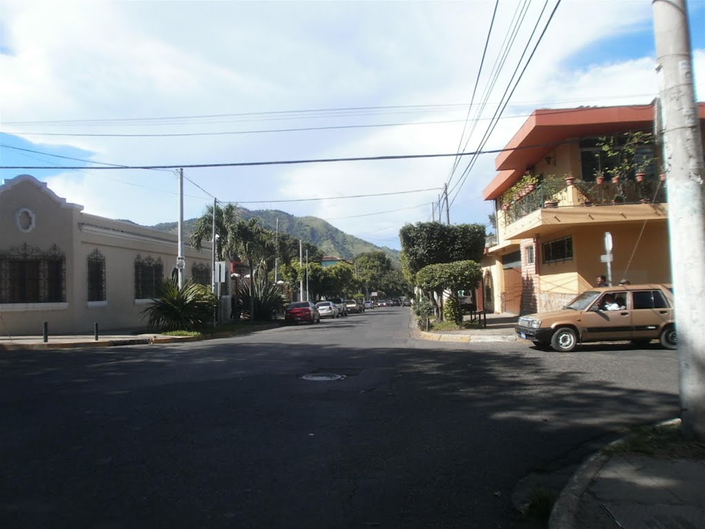 Vista al norte sobre ave fray felipe by willbarillas