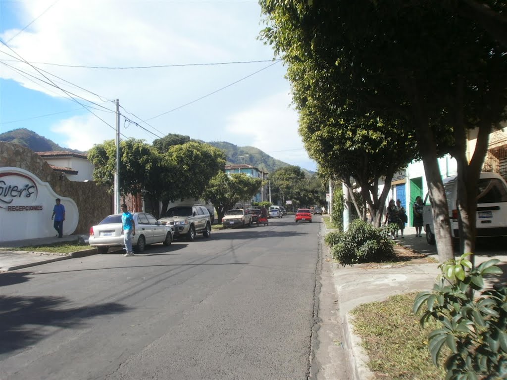 Vista al norte sobre ave fray felipe by willbarillas