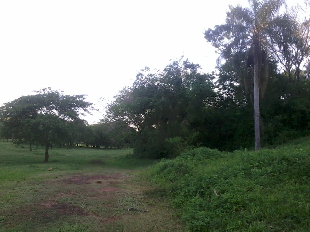 Santo Tomé Department, Corrientes Province, Argentina by Julio Ricardo