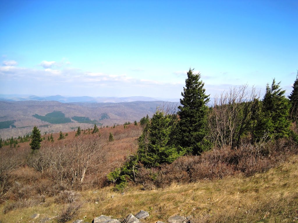 Looking west from Spruce Knob by Kenny Coskey