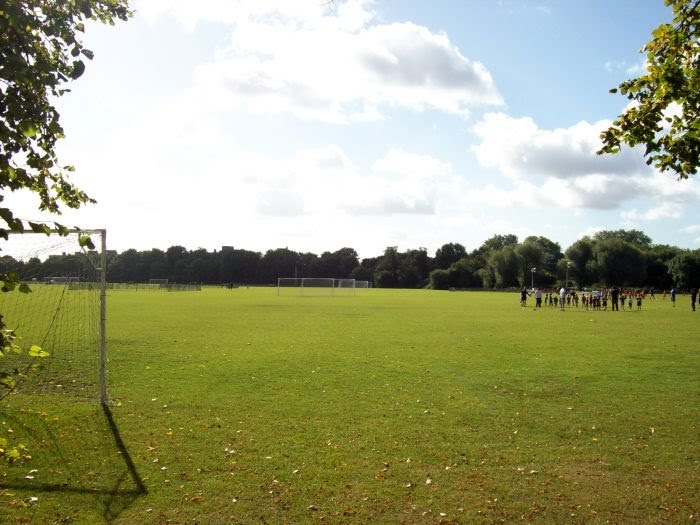 Playing fields by sport in touch UK