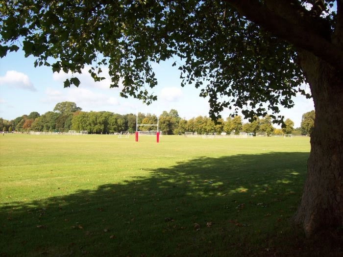 Rugby fields by sport in touch UK