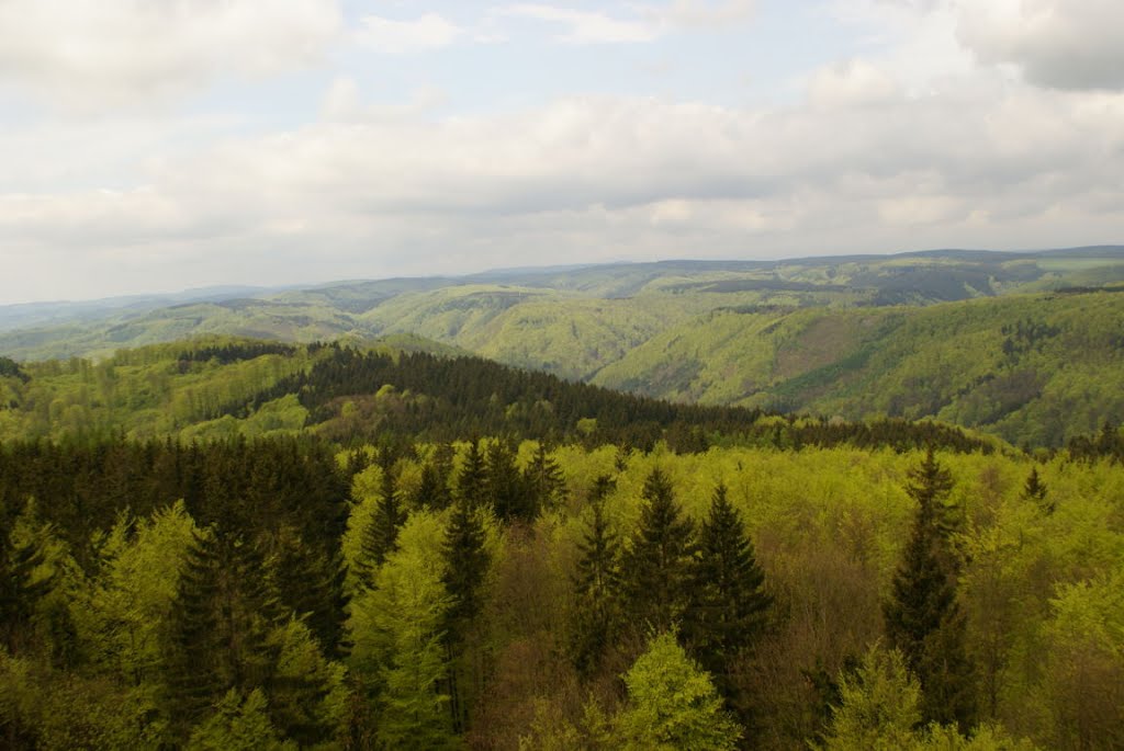 Blick vom Poppenbergturm (Harz) by Altmeister