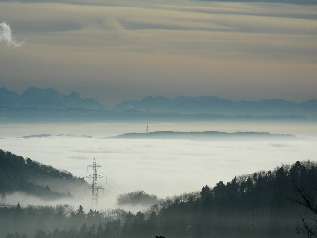 Erlinsbach, Switzerland by Markus Irniger