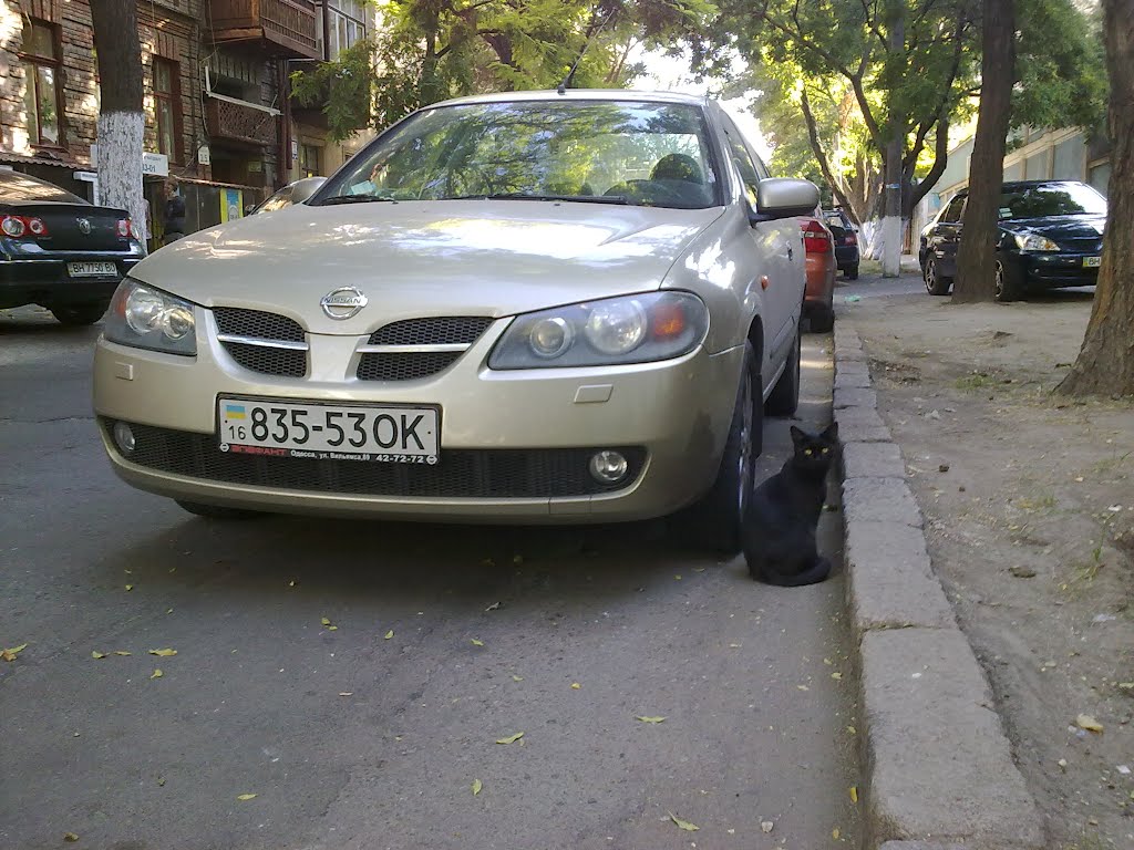 Odessa. October. Cat-and-car by Олег Короткевич