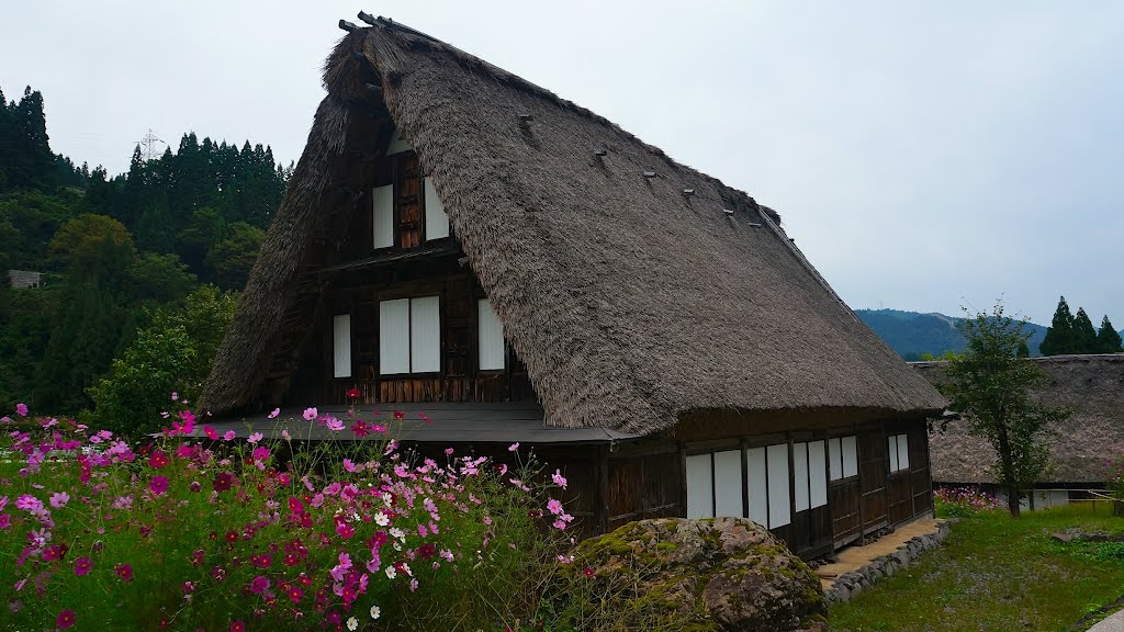 Aikura Gasshozukuri houses, Gokayama, Toyama 相倉合掌造集落、五箇山、富山 by kodachi