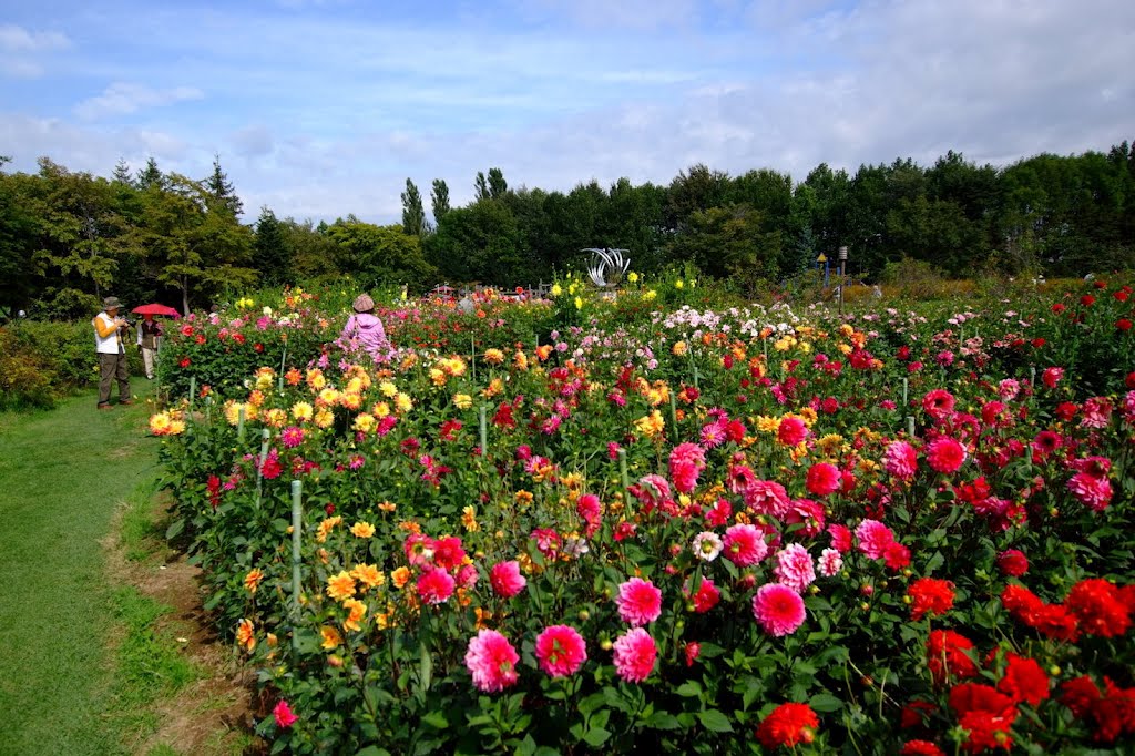 百合が原公園（Yurigahara park） by t-konno